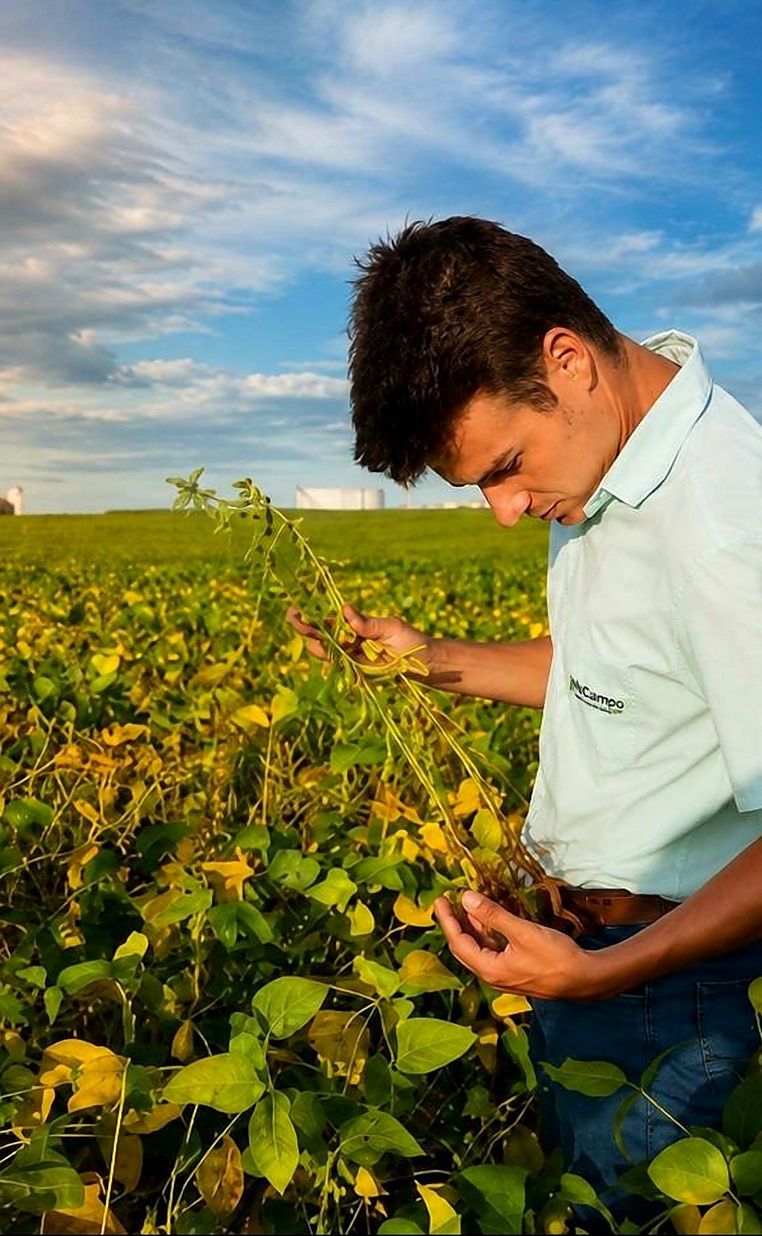 Agrônomo da NuCampo avaliando lavoura de soja em campo